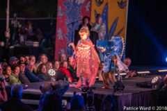 Photos by Patrice Ward (133/825)